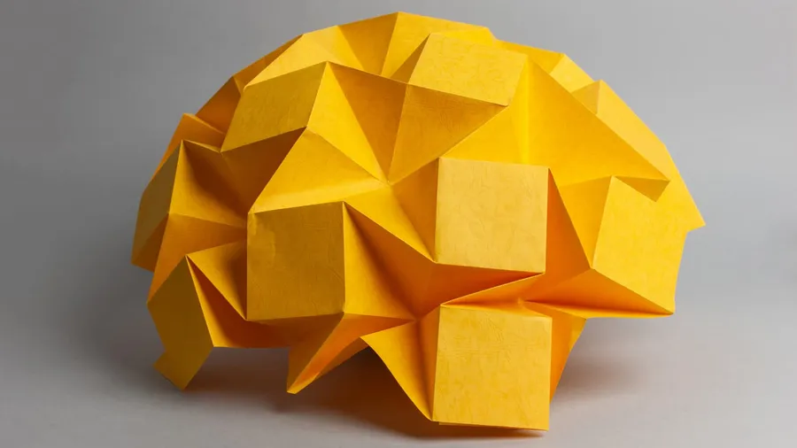 Debunking the Myth: Success Beyond Academic Education